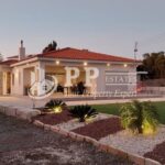 For Rent - 4 bedroom bungalow, in a quiet location with large garden, in Monagroulli, Limassol
